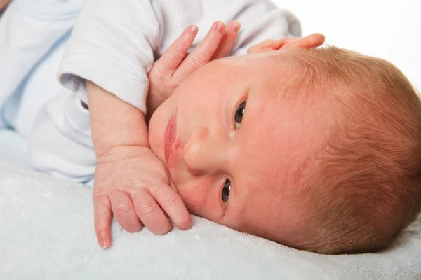 Hand van een pasgeboren baby — Stockfoto