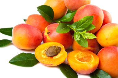 yaprakları ile kayısı