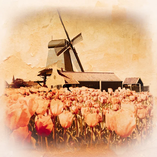 Kincir angin di Holland — Stok Foto