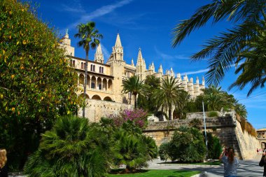 palma de Mallorca Katedrali