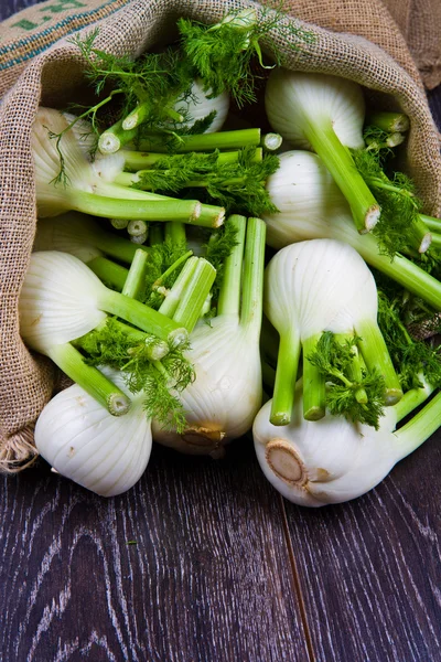 Fresh fennel on wooden background — Stock Photo, Image