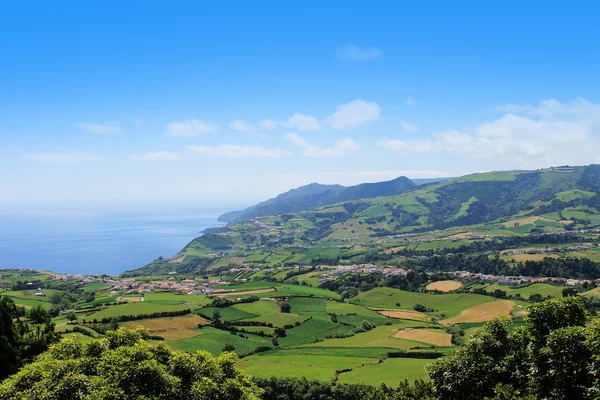 Plantação em Porto Formoso na costa norte da ilha de — Fotografia de Stock