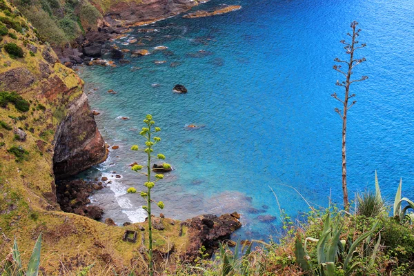 Vue sur la mer aux Açores Portugal — Photo