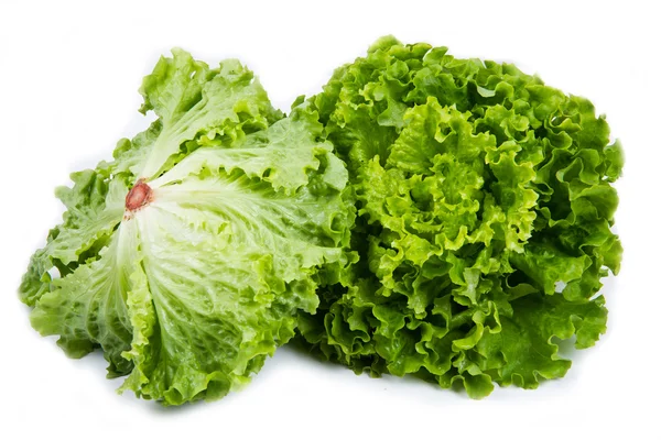 Bunch of fresh green salad isolated over white — Stock Photo, Image