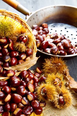 güzel yenilebilir kestane