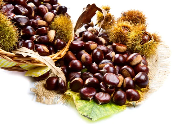 Sweet chestnut on white background. — Stock Photo, Image