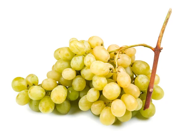 White grape on white background — Stock Photo, Image