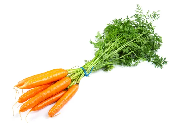 Νωπά καρότα απομονωμένα σε λευκό φόντο — Φωτογραφία Αρχείου
