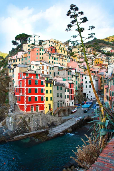 Riomaggiore cinque terre Italie — Photo