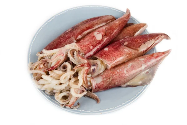 Calamari freschi isolati su fondo bianco — Foto Stock