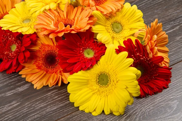 En vy av färgade Gerbera blomma — Stockfoto