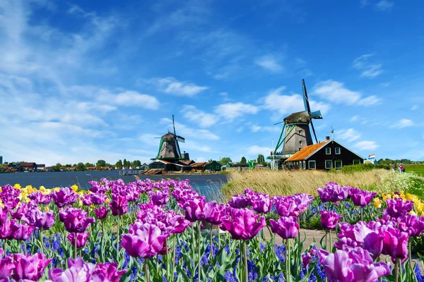 Moinho de vento na Holanda — Fotografia de Stock