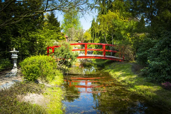 Wooden bridge in japanese garden — Stock Photo, Image