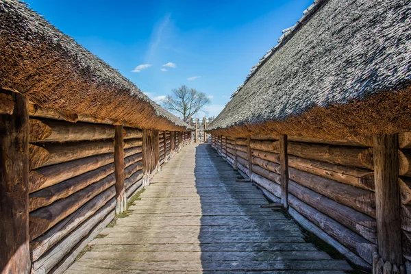Gamla slaviska hus i Heritage Park — Stockfoto