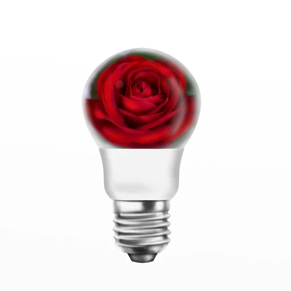 Light bulb with red rose — Stock Photo, Image