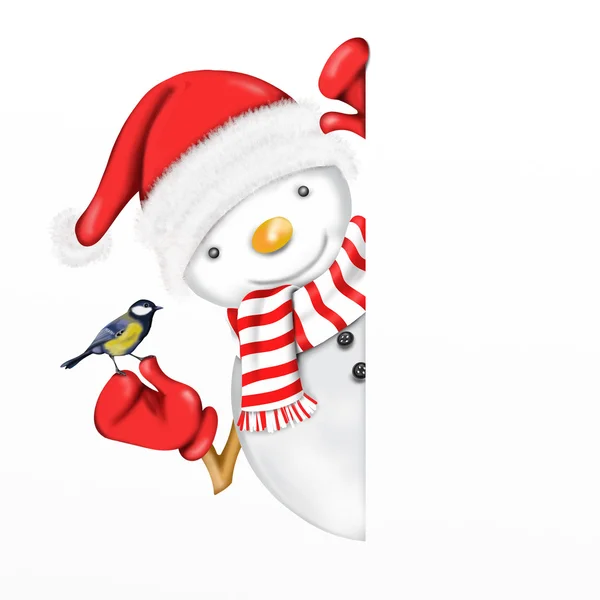 Boneco de neve com passarinho — Fotografia de Stock