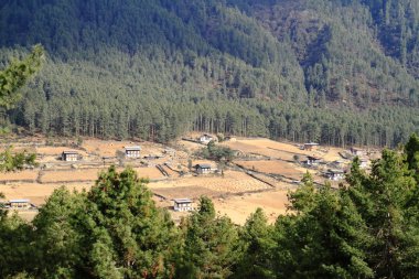 Wangdue Phodrang Vadisi, Bhutan