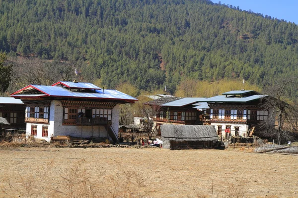 Case di campagna, Bhutan — Foto Stock