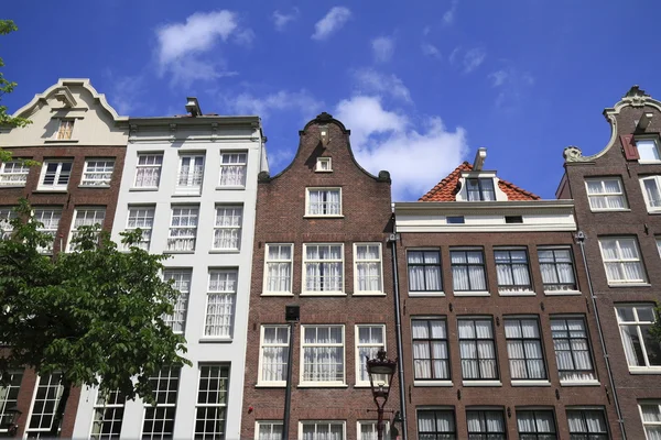 Domy v Amsterdamu, Nizozemí — Stock fotografie