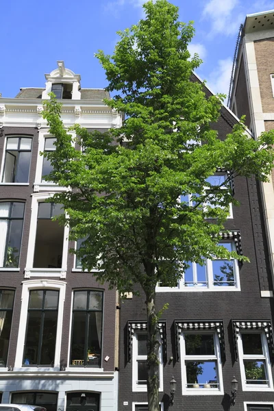 Huizen in Amsterdam, Nederland — Stockfoto