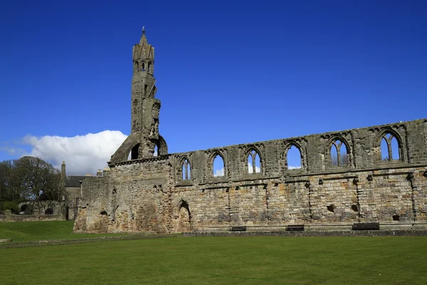 St Andrews Katedrali, İskoçya'nın harabe — Stok fotoğraf