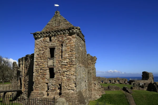 İskoçya'da St Andrew's Castle — Stok fotoğraf