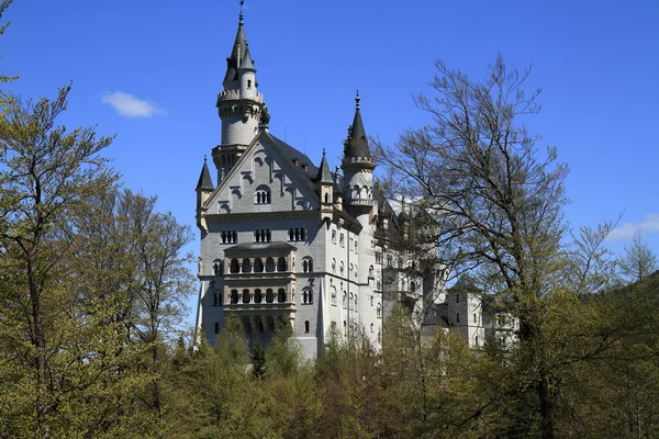 Slottet Neuschwanstein i de bayerska Alperna — Stockfoto