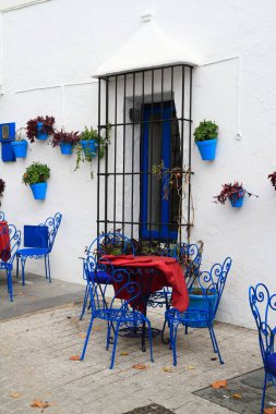 Canlı mavi saksılar ve yeşil bitkilerle kaplı dar, beyaz bir ara sokak huzurlu bir Akdeniz atmosferi yaratıyor..