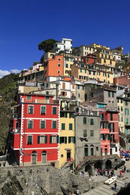Canlı, renkli evler Cinque Terre, İtalya 'da bir uçurumdan aşağı dökülüyor, yeşil panjurlar, dar teraslar, parlak cepheler ve derin mavi bir Akdeniz gökyüzü ile pitoresk bir kıyı köyü sahnesi oluşturuyor..