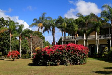 İki katlı güzel tarihi bir binada soluk sarı duvarlar ve çeşitli yeşil yapraklar ve renkli tropikal bitkiler arasında yuva yapmış geniş beyaz balkonlar yer alıyor..