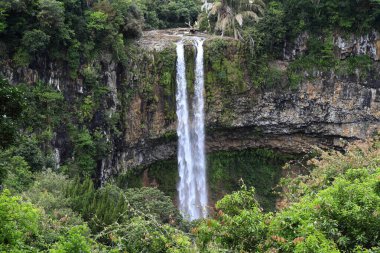Güçlü bir şelale, yoğun yeşil orman ve antik kaya katmanlarıyla çevrili yosun kaplı bir uçurumdan iner ve doğanın ham güzelliğini gözler önüne serer..