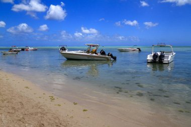 Sürat tekneleri şeffaf, sakin bir okyanus suyuna demirlemiş kumlu bir sahile yakın.