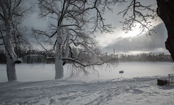 Winter Blick ekaterinenskaya Park. — Stockfoto