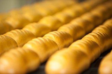 Shaliapin Restoran iç.