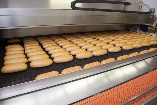 Pane panificio fabbrica di alimenti . Immagine Stock