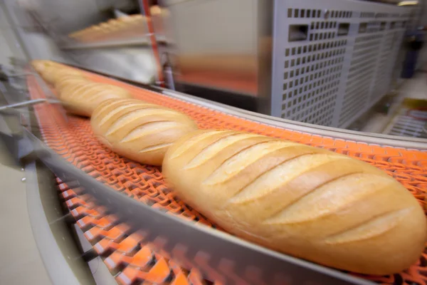 Ekmek unlu gıda fabrikası. Telifsiz Stok Imajlar