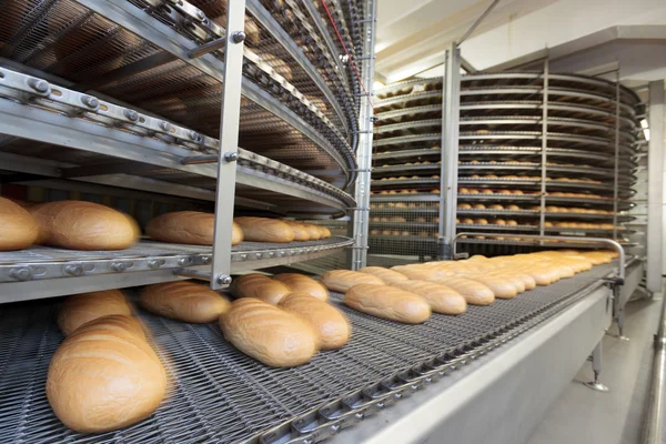 빵 제빵 식품 공장. 스톡 사진
