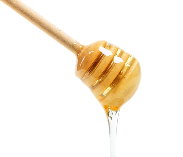 Lehet mézes fehér — Stock Fotó