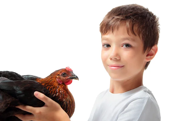 El chico con la gallina —  Fotos de Stock