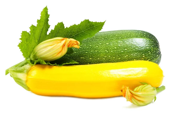 Groene en gele courgette — Stockfoto