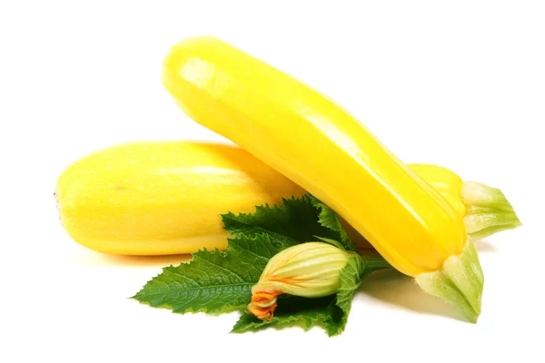 Zwei gelbe Zucchini — Stockfoto