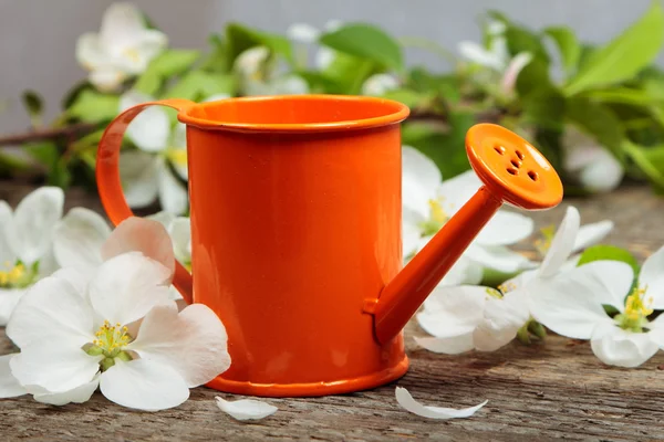 The watering can — Stock Photo, Image