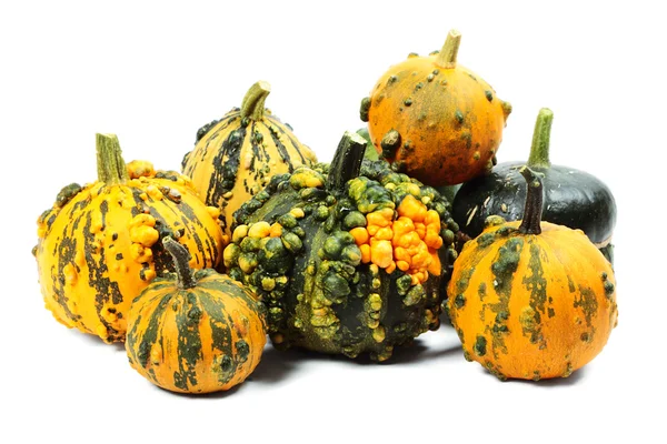 Pumpkins — Stock Photo, Image