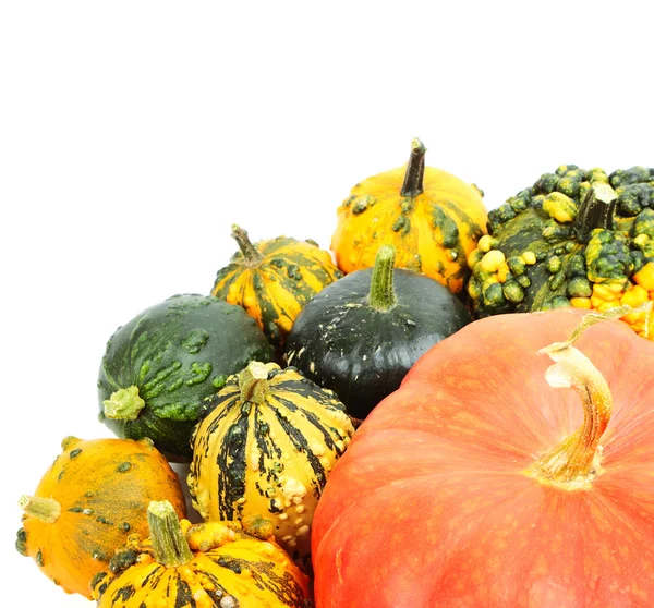 Calabazas — Foto de Stock