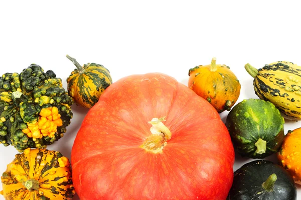 Pumpkins — Stock Photo, Image