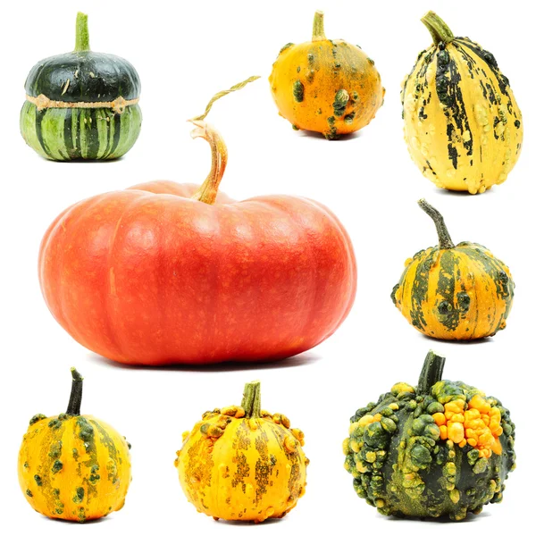 Pumpkins — Stock Photo, Image