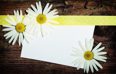 tebrik kartpostal