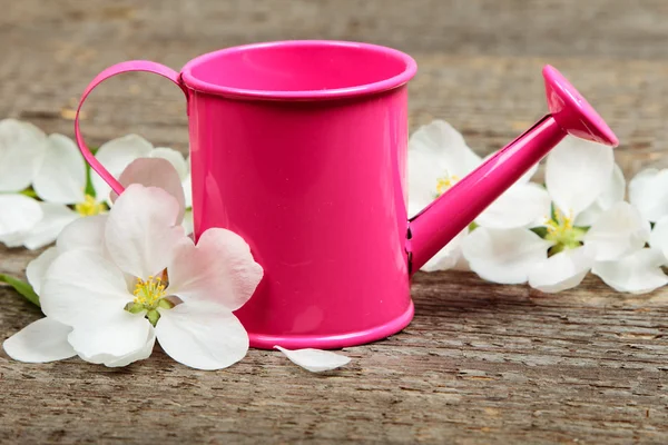 The watering can — Stock Photo, Image