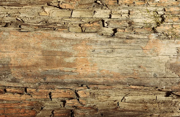 Wood background — Stock Photo, Image