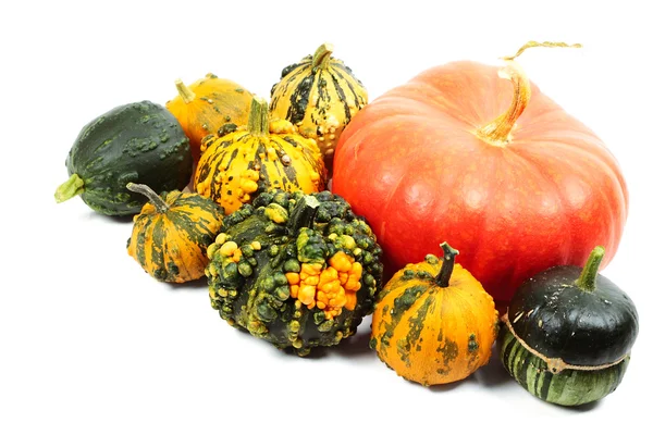 Pumpkins — Stock Photo, Image